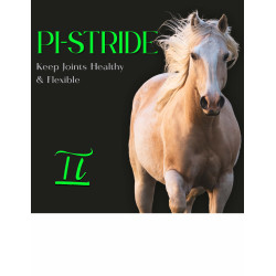 PI-STRIDE (HERO) 16oz PI-STRIDE (HERO) 16oz