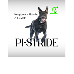 PI-STRIDE K9 (HERO) 16oz PI-STRIDE K9 (HERO) 16oz