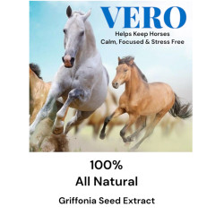 VERO 16oz