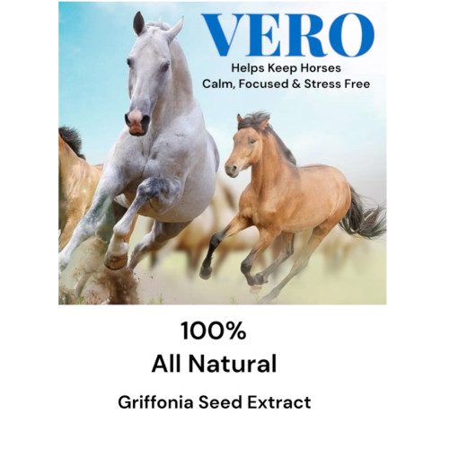 VERO 64oz