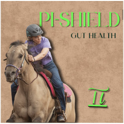PI-SHIELD PI-SHIELD